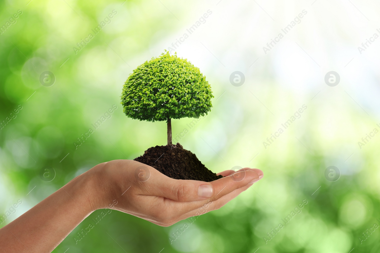 Image of Woman holding pile of soil with small tree on blurred green background, closeup. Eco friendly lifestyle 