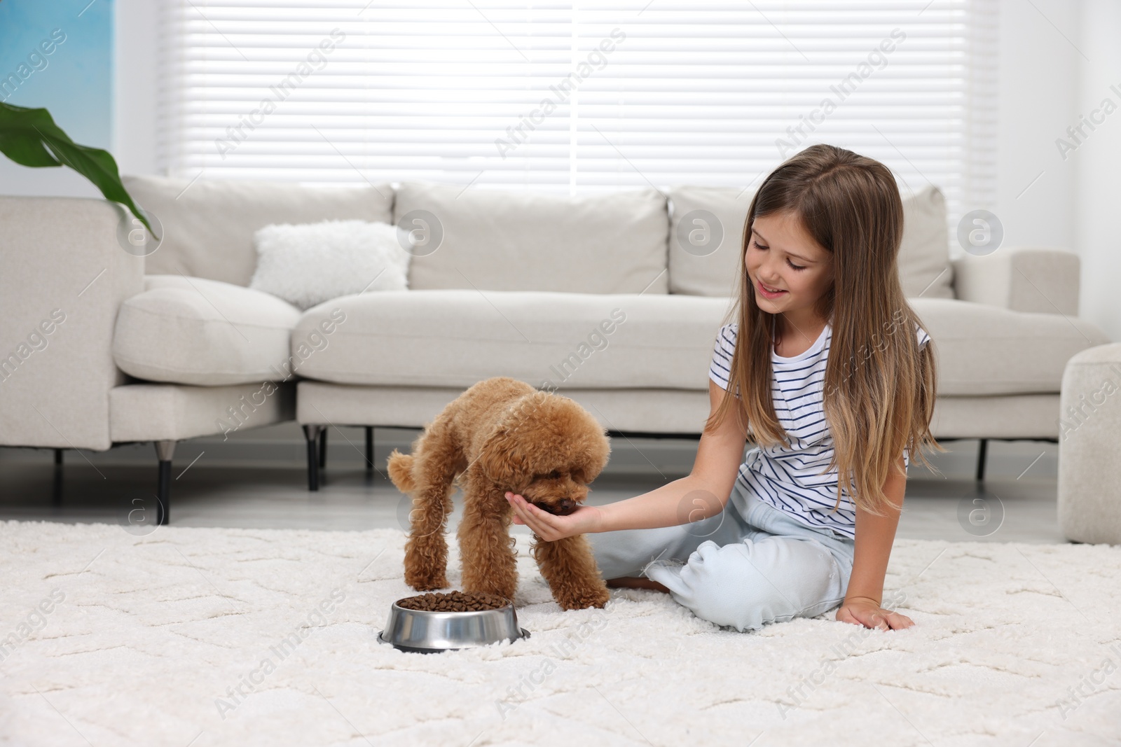 Photo of Little child feeding cute puppy on carpet at home. Lovely pet