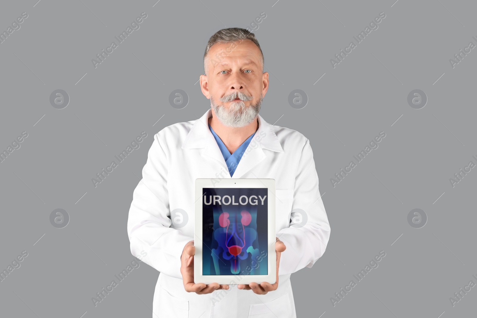 Photo of Male doctor holding tablet with urinary system on screen against grey background