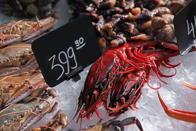 Fresh carabinero shrimps and other seafood on ice. Wholesale market