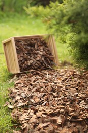 Photo of Wooden box with bark chips in garden