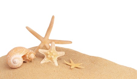 Photo of Sand with many beautiful sea stars and seashells isolated on white, space for text