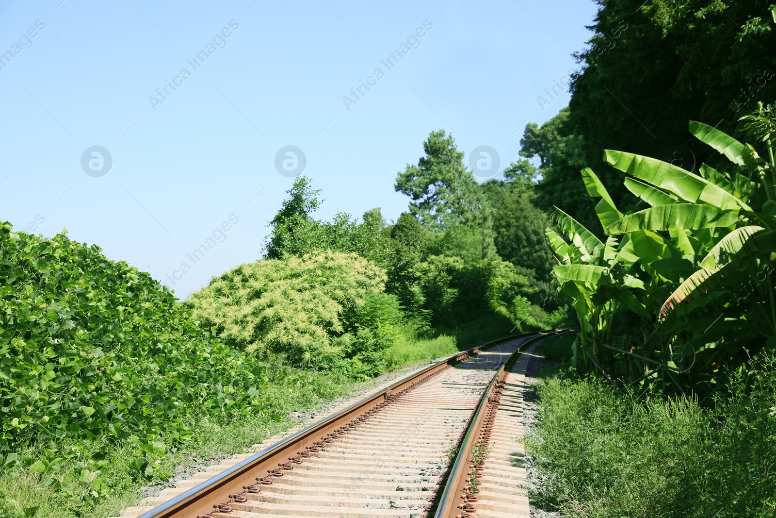 Photo of Modern railway line among plants in countryside