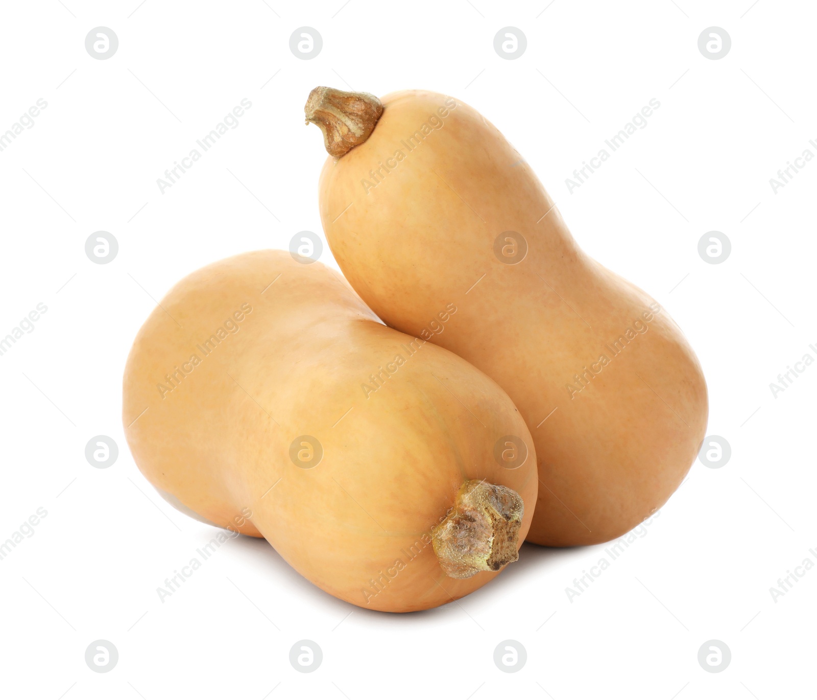 Photo of Fresh raw pumpkins isolated on white. Organic plant