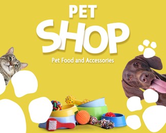 Image of Advertising poster design for pet shop. Cute cat, dog and different accessories on yellow background