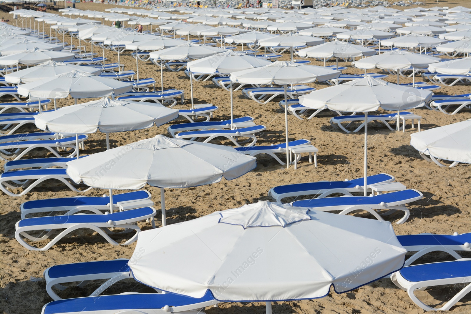 Photo of Many beach umbrellas and sunbeds on resort