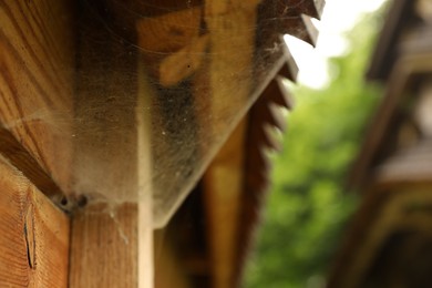 Photo of Cobweb on wooden building outdoors, closeup. Space for text