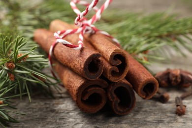 Photo of Different spices. Aromatic cinnamon sticks, clove seeds and fir branches on wooden table, closeup