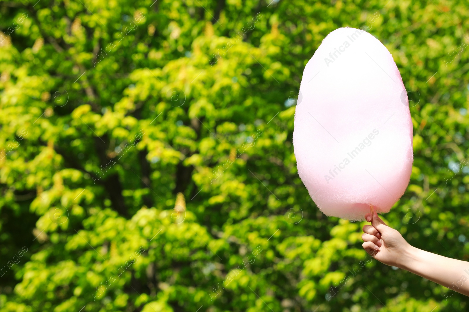 Photo of Woman holding sweet cotton candy outdoors, closeup. Space for text