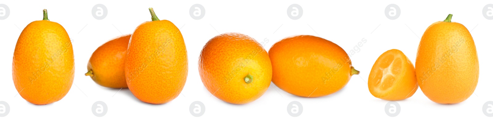 Image of Set with fresh ripe kumquat fruits on white background. Banner design