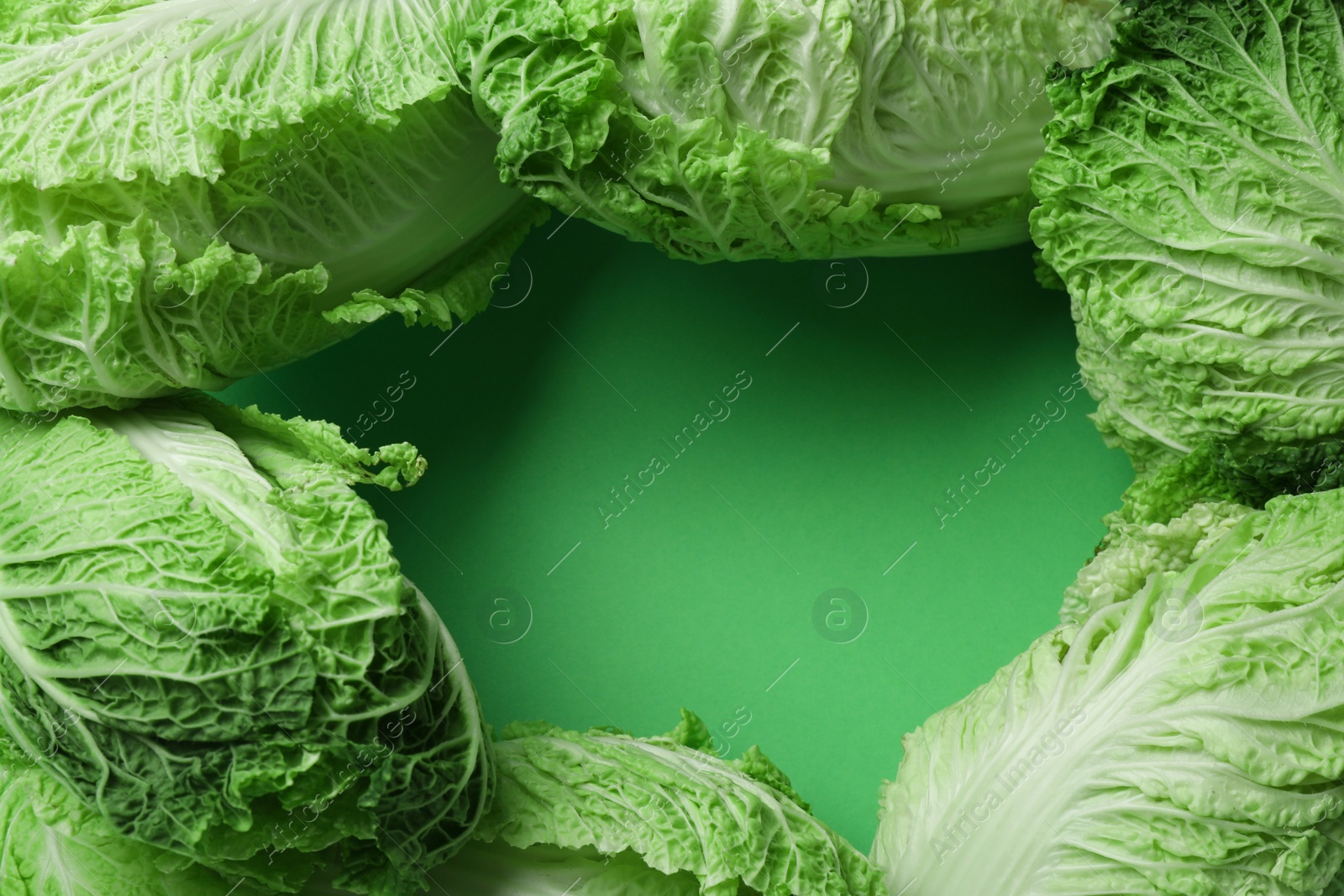 Photo of Frame with fresh ripe Chinese cabbages on light green background, above view. Space for text