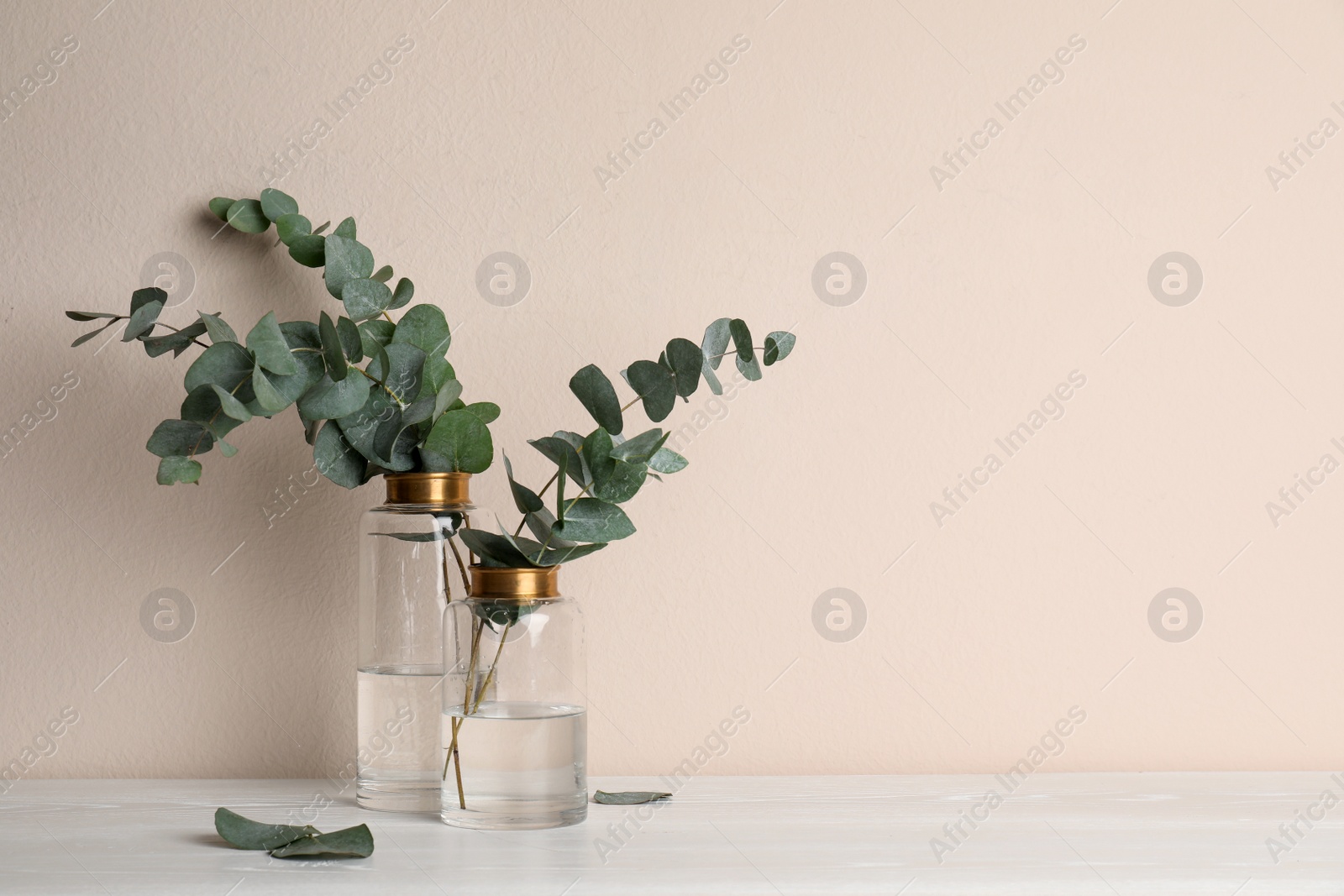 Photo of Vases with beautiful eucalyptus branches on white wooden table near beige wall. Space for text