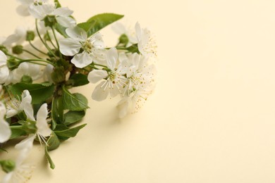 Photo of Beautiful spring tree blossoms on beige background, closeup. Space for text