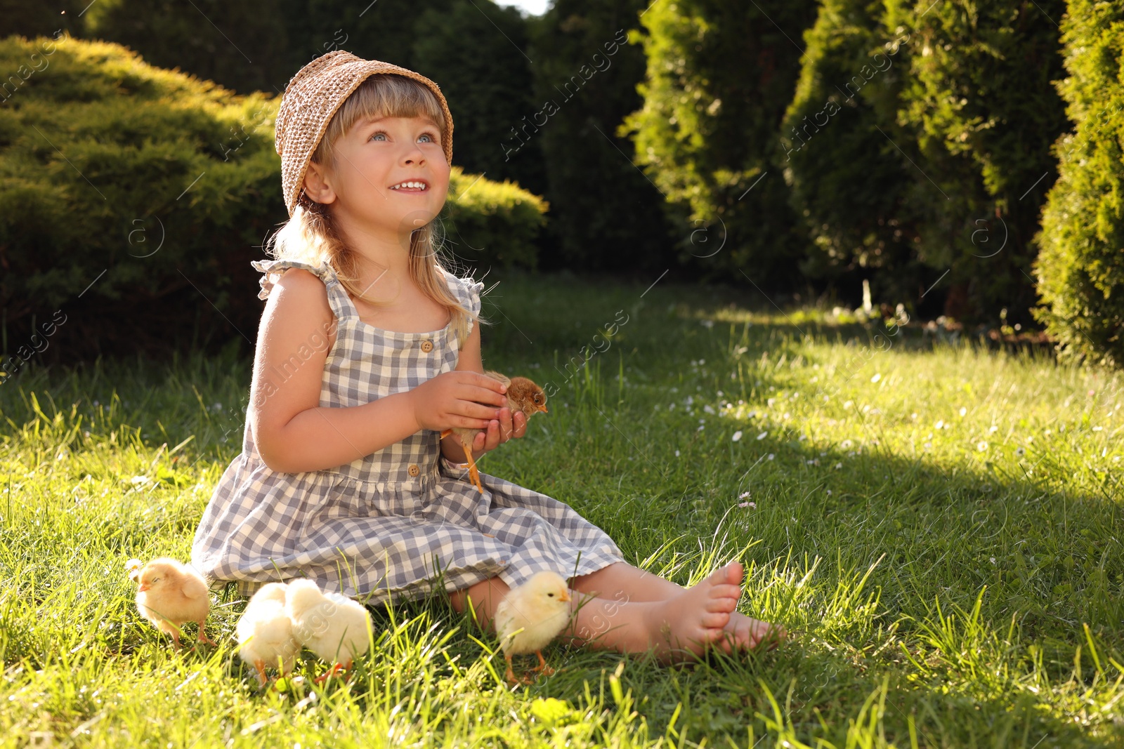 Photo of Little girl with cute chicks on green grass outdoors. Baby animals