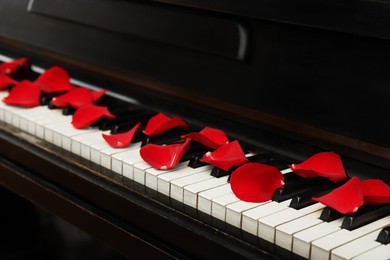 Photo of Many red rose petals on piano keys, closeup