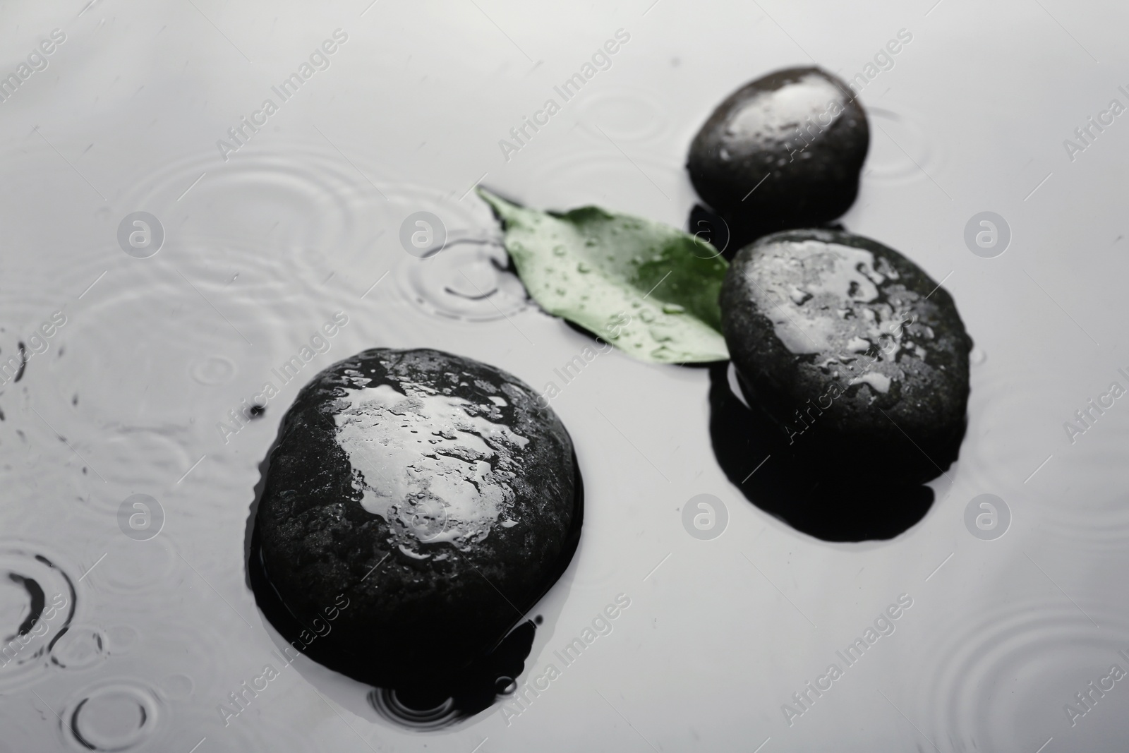 Photo of Wet spa stones and green leaf on grey background. Space for text