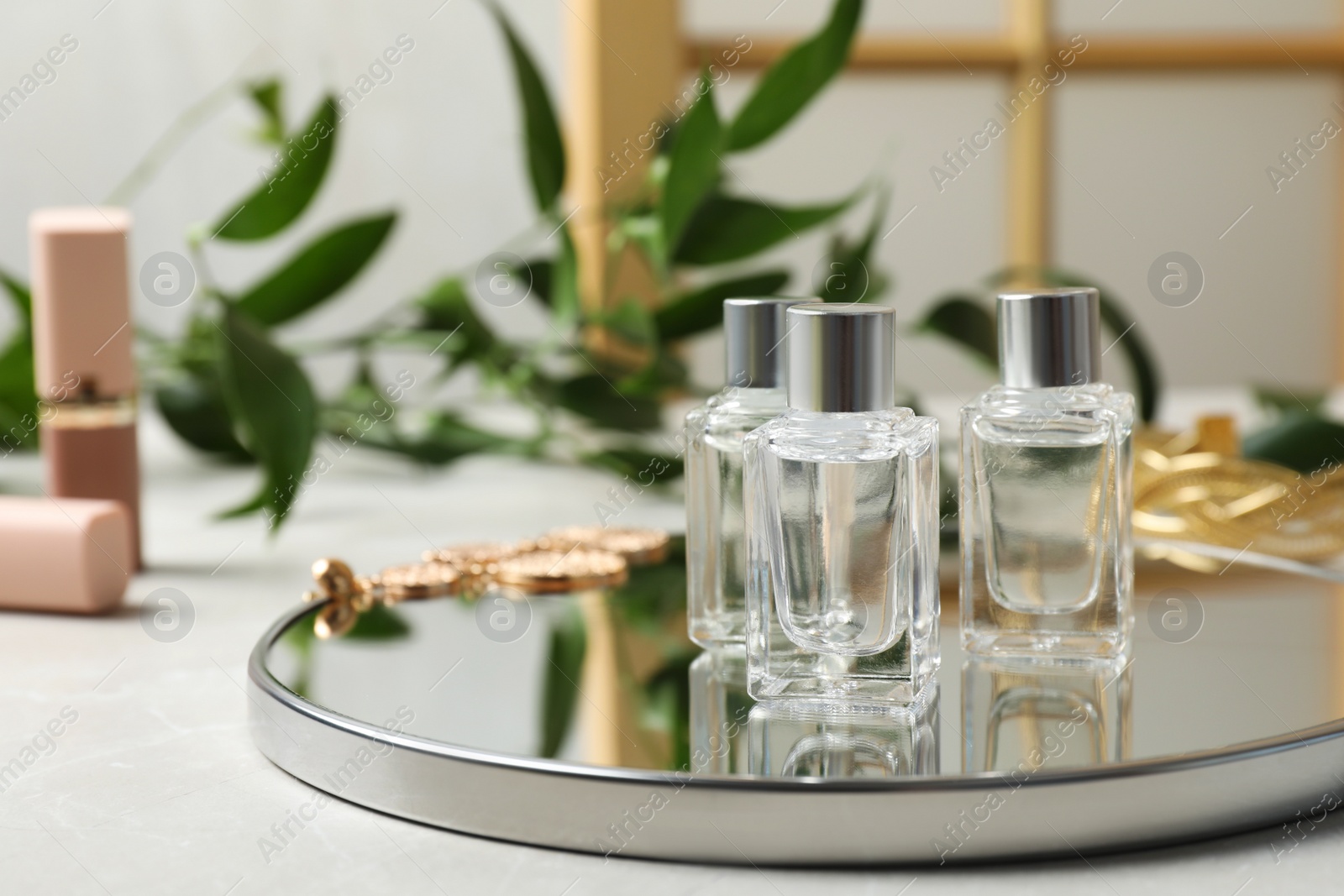 Photo of Bottles of essential oil and mirror on light grey table, space for text