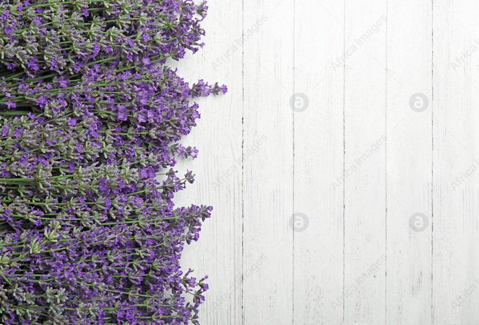 Photo of Beautiful tender lavender flowers on white wooden table, top view. Space for text