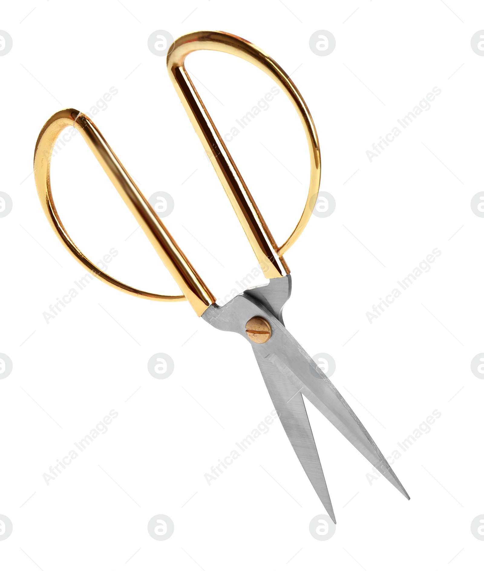 Photo of Pair of sharp sewing scissors on white background