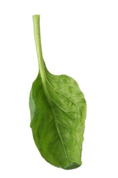 Photo of Fresh leaf of spinach isolated on white