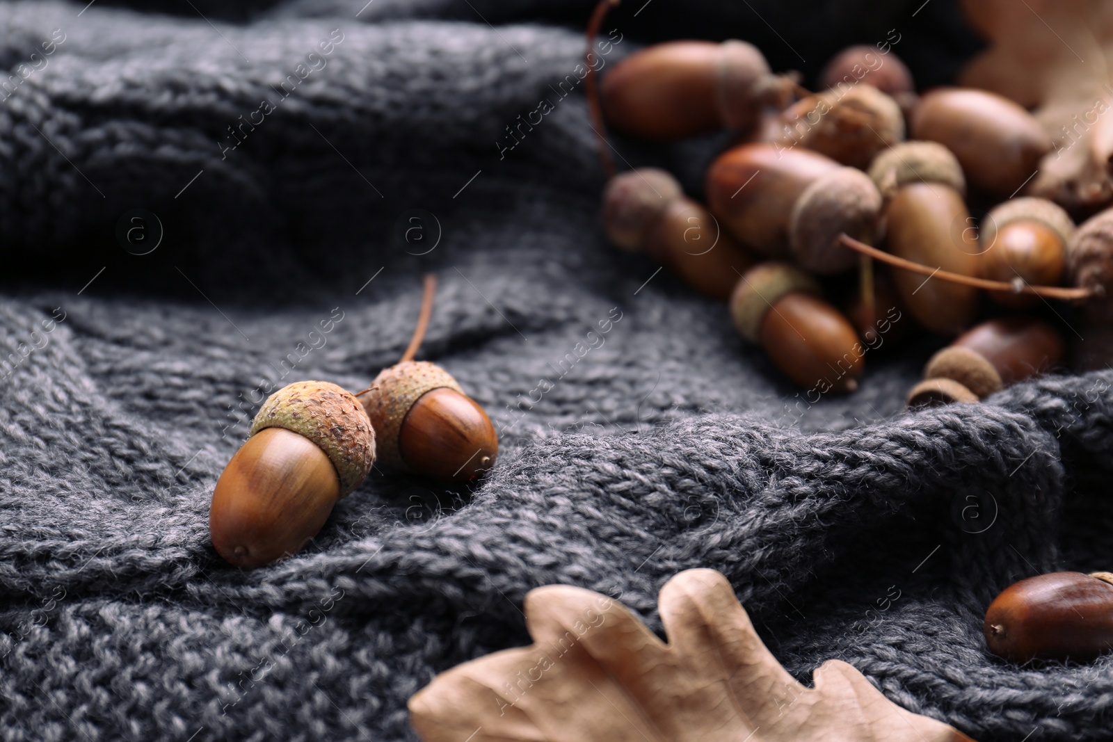 Photo of Acorns on grey knitted fabric, closeup view