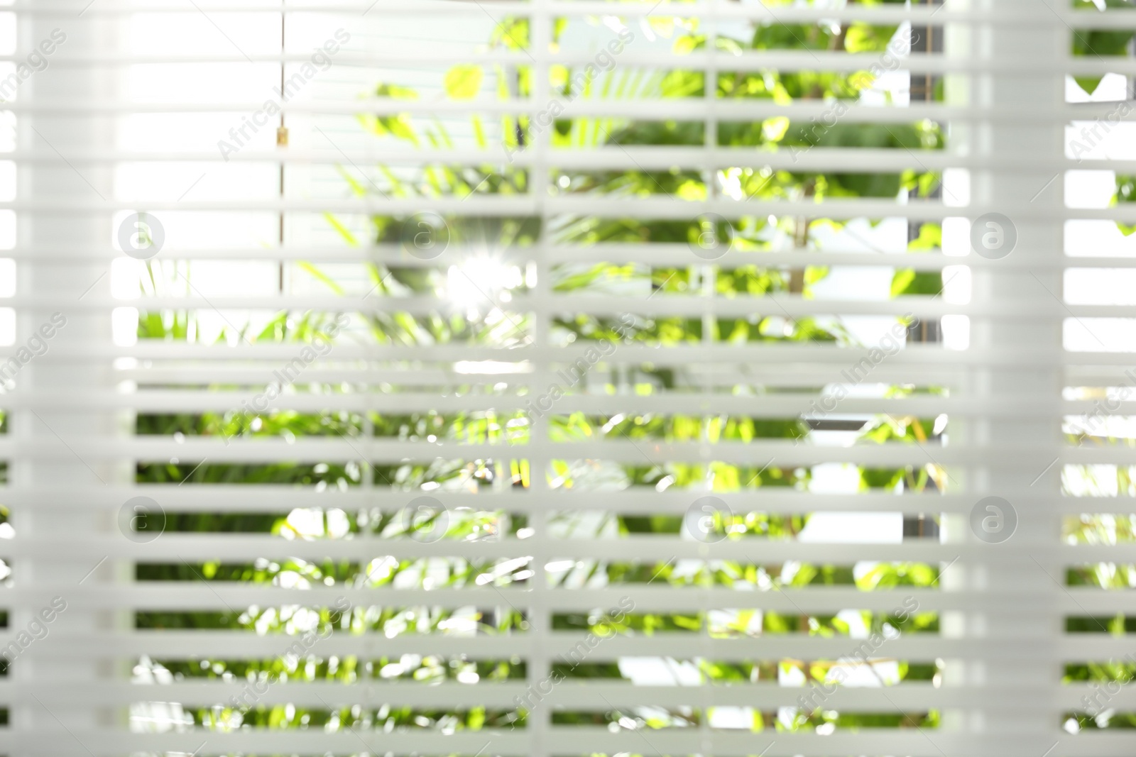 Photo of Blurred view through window on garden in morning