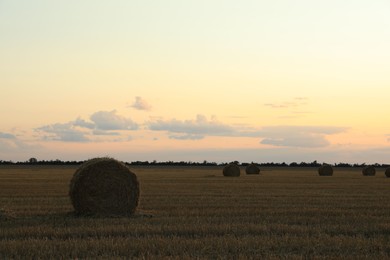 Beautiful view of agricultural field with hay bales in evening
