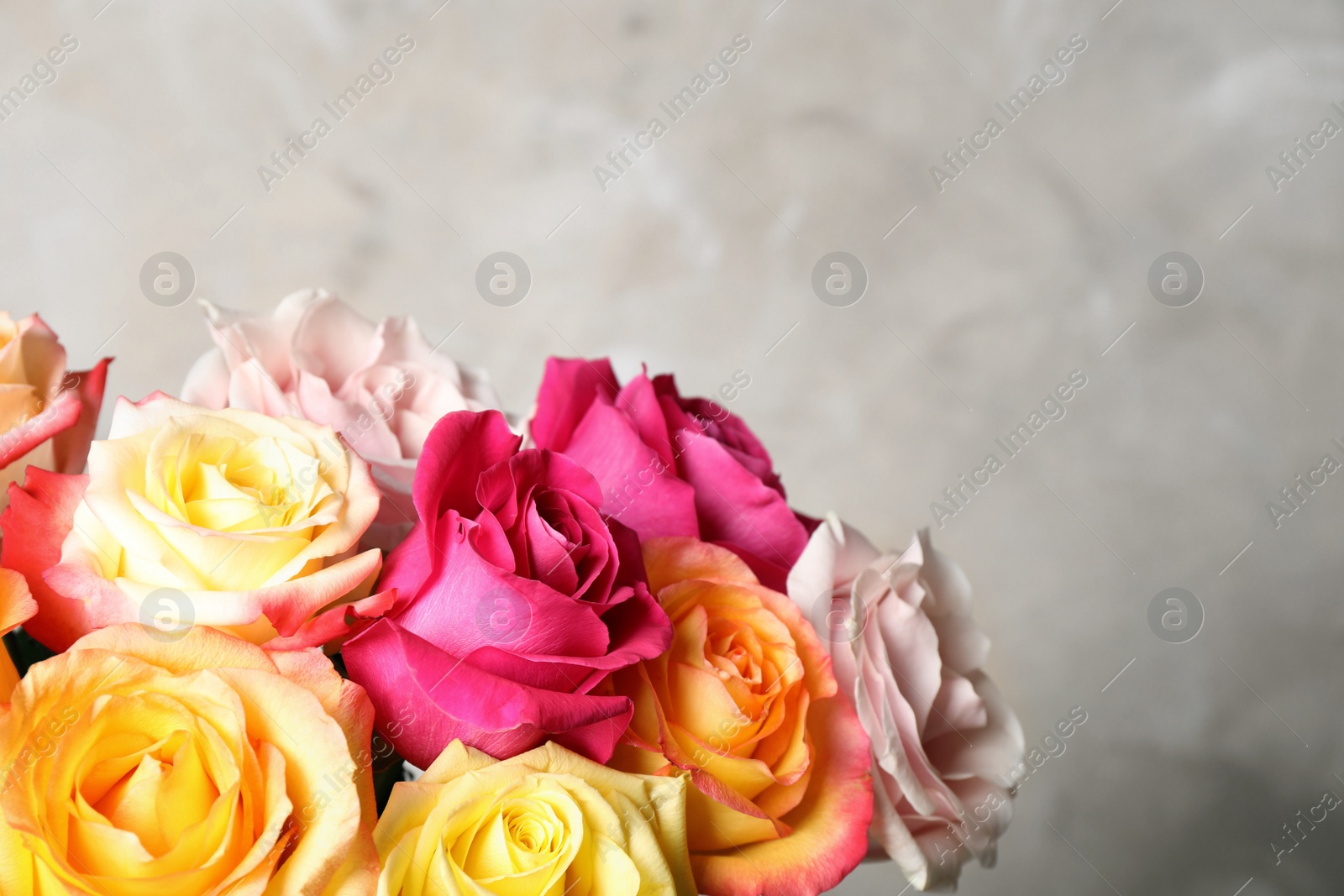 Photo of Luxury bouquet of fresh roses on beige background, closeup