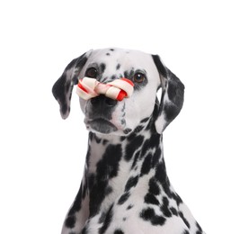 Image of Cute Dalmatian dog with chew bone on nose against white background