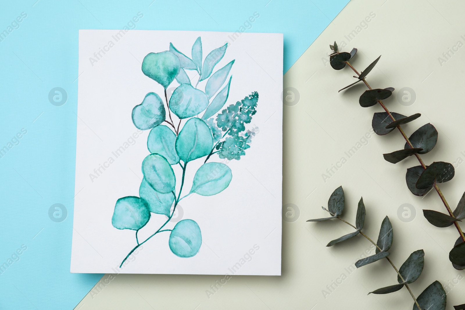 Photo of Beautiful drawing of plants near eucalyptus branches on color background, flat lay