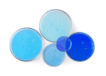 Photo of Petri dishes with different liquid samples on white background, top view