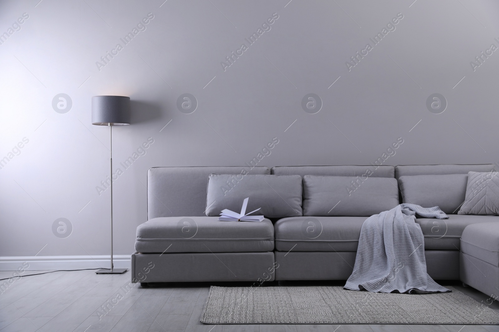 Photo of Large grey sofa in living room. Interior design