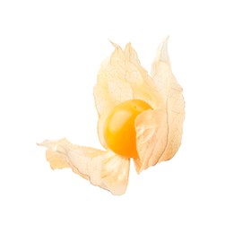 Photo of Ripe physalis fruit with calyx isolated on white