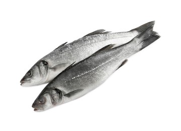 Photo of Fresh sea bass fish on white background, top view