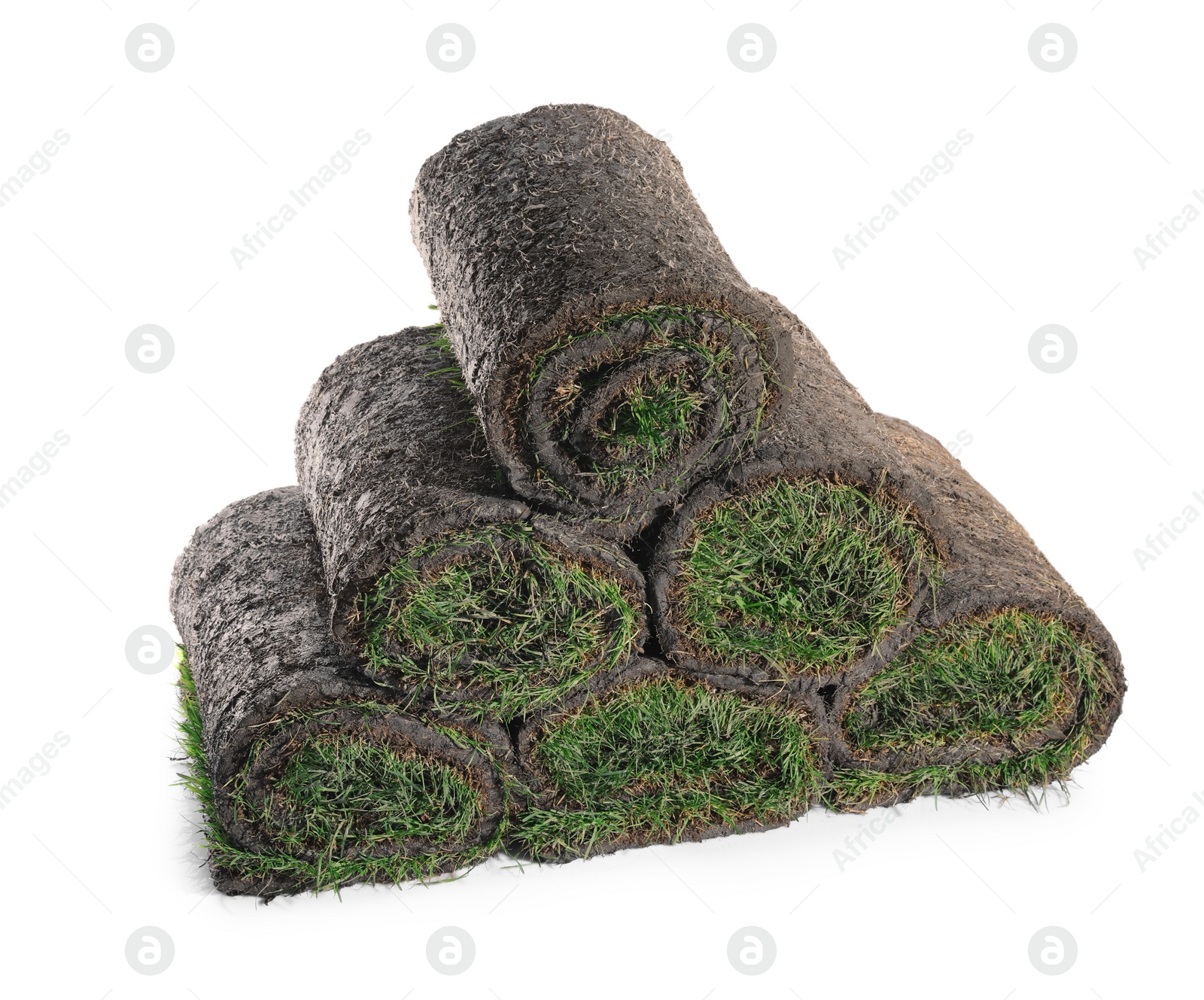 Photo of Rolls of grass sod on white background