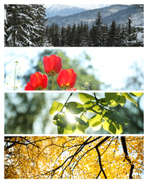 Image of Beautiful photos of nature. Four seasons collage