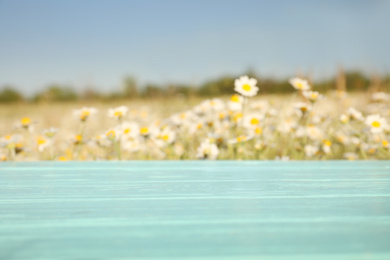 Photo of Empty light blue wooden table in blooming chamomile field