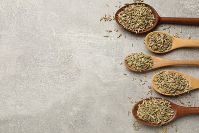 Photo of Wooden spoons with fennel seeds on grey table, flat lay. Space for text