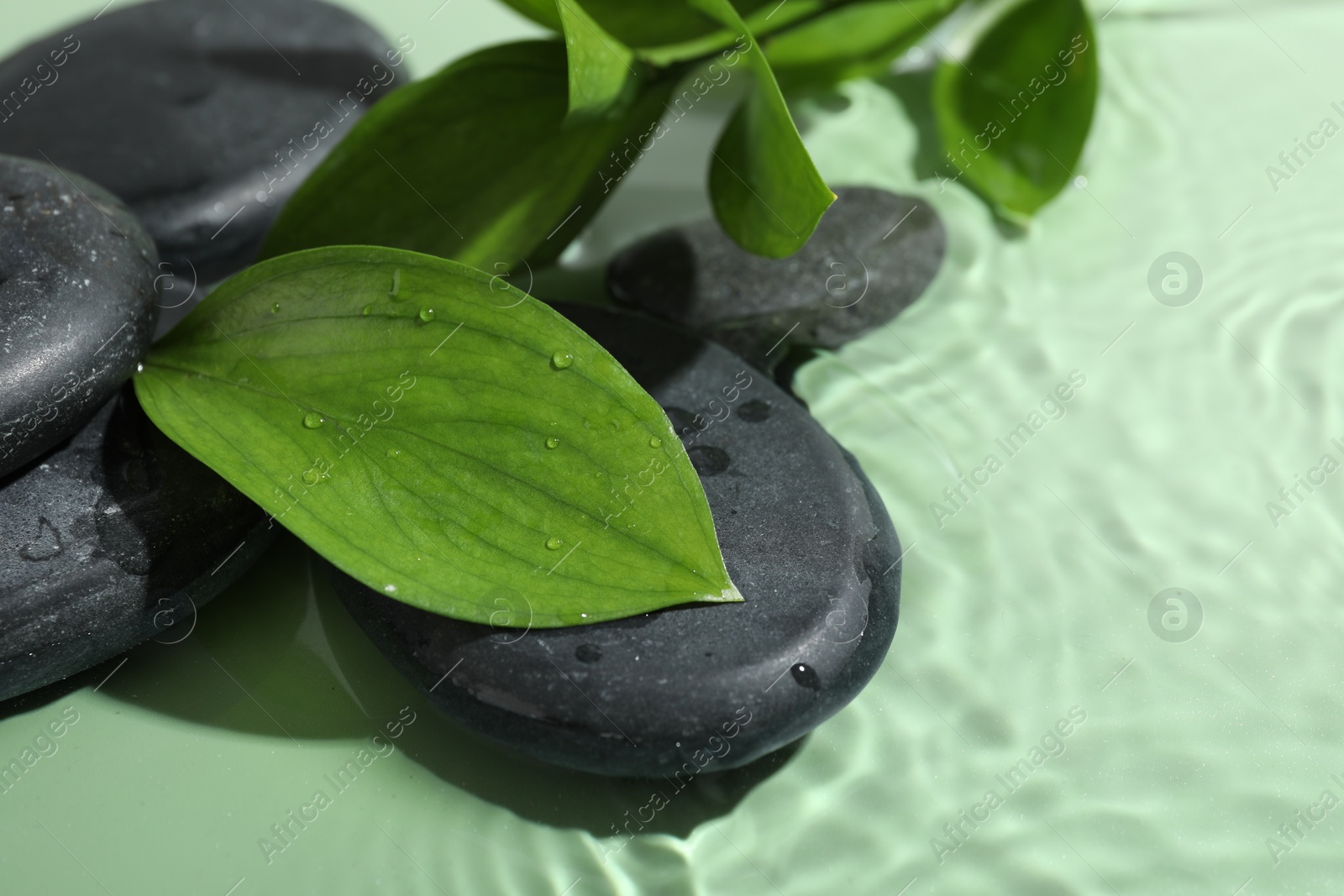 Photo of Spa stones and fresh leaves on light green background, closeup