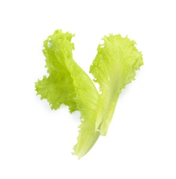 Leaves of fresh lettuce on white background. Salad greens