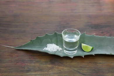 Photo of Mexican tequila shot, salt, lime slice and green leaf on wooden table. Drink made of agava