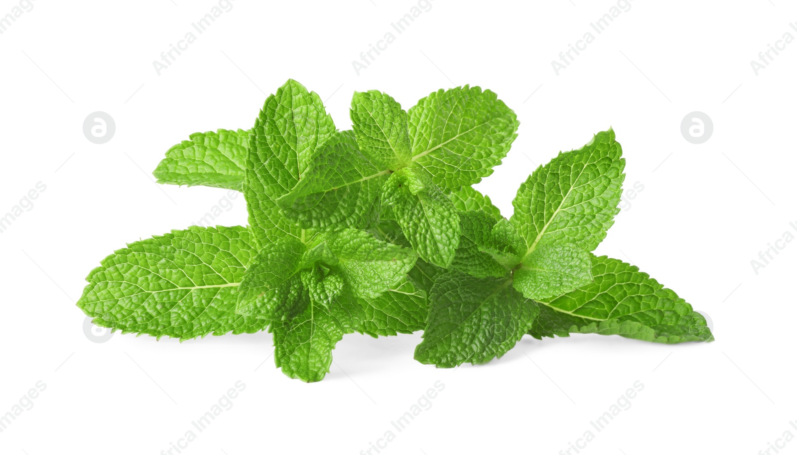 Photo of Fresh green mint leaves isolated on white