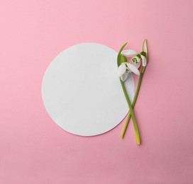 Photo of Beautiful snowdrops and paper card on pink background, flat lay. Space for text