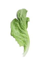 Photo of Fresh leaf of green romaine lettuce isolated on white