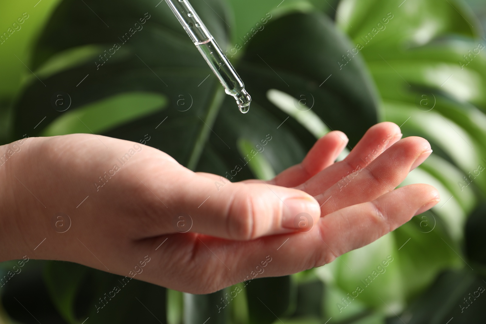 Photo of Woman applying cosmetic serum onto hand on blurred background, closeup