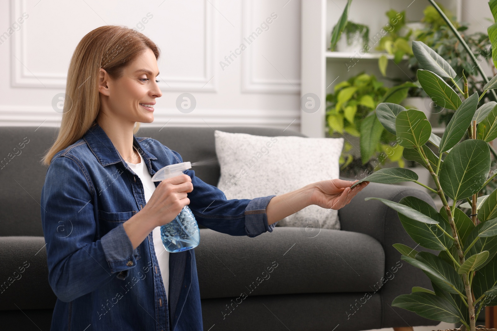 Photo of Woman spraying beautiful houseplants with water at home