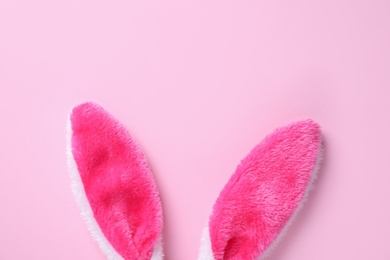 Easter bunny ears on pink background, top view. Space for text