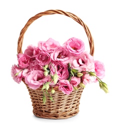 Photo of Beautiful pink Eustoma flowers in wicker basket isolated on white
