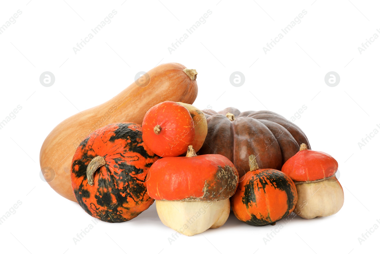 Photo of Fresh orange raw pumpkins isolated on white