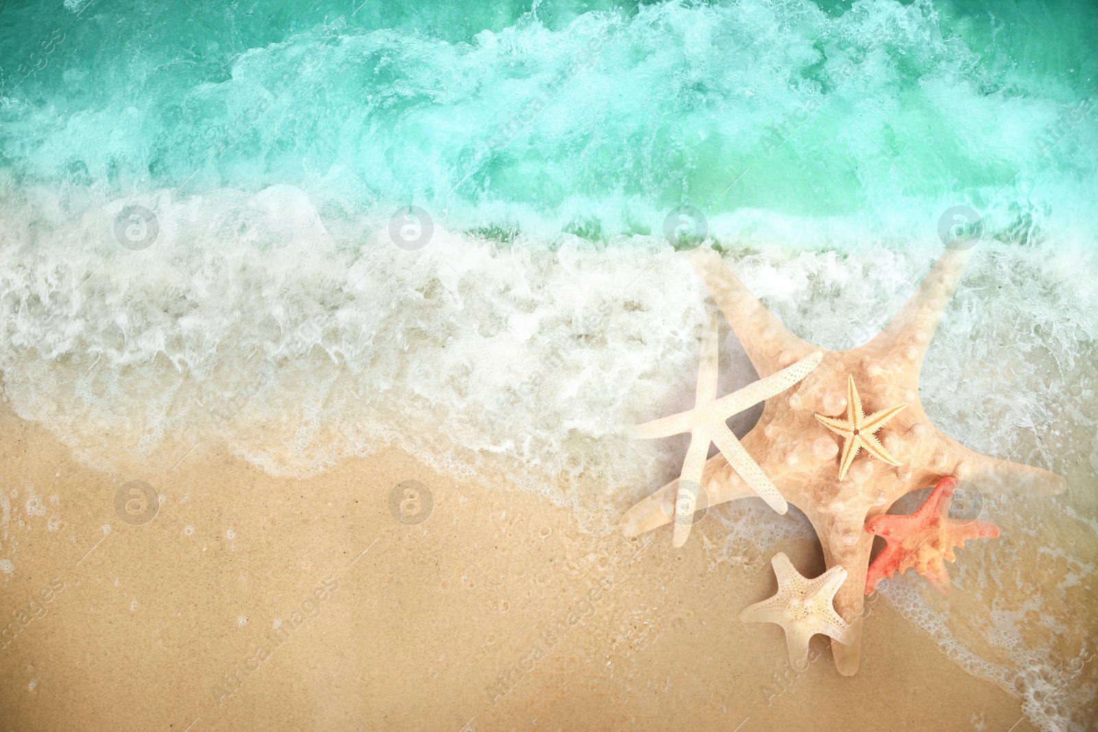 Image of Starfishes washed by sea water on sandy beach, top view. Space for text